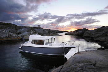 Sea Star 26